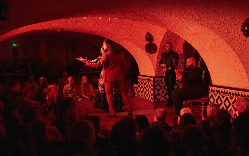 Flamenco show with a drink — back rows only